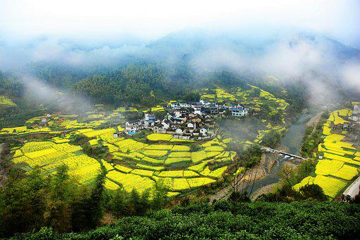 梦见圣经损坏