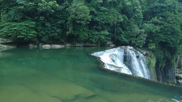 梦见别人炸油条