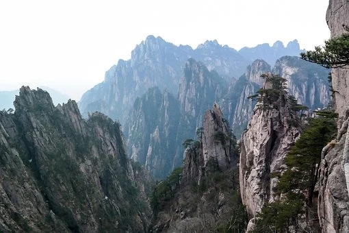 梦见孕妇梦见鲸鱼